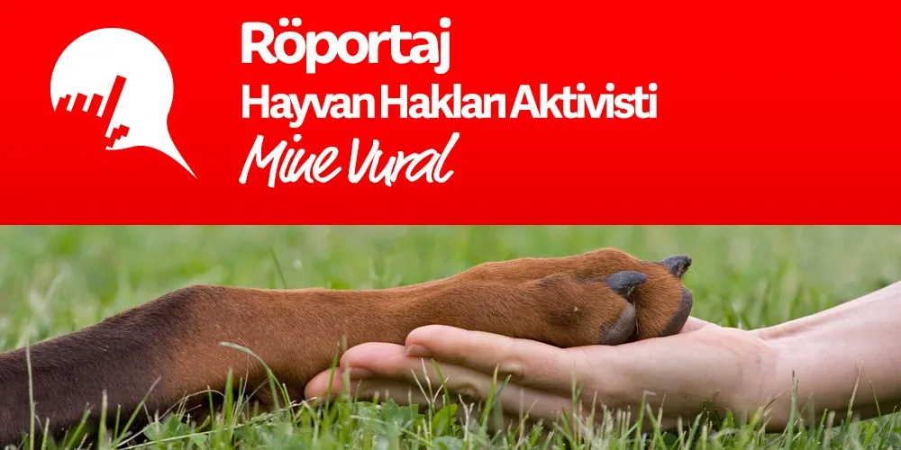 4 Ekim Hayvanları Koruma Günü Şerefine; Mine Vural'la Söyleşi...