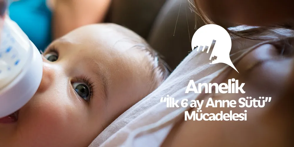 İlk 6 Ay Anne Sütü Verme Mücadelem