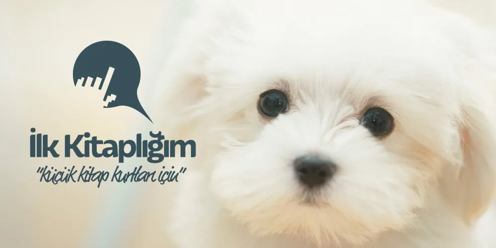 Kılkuyruk Popi - Güzellik Tacı