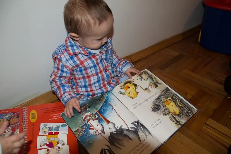 17 Şubat Dünya Kediler Günü Şerefine: Üç Kedi ve Bir Dilek