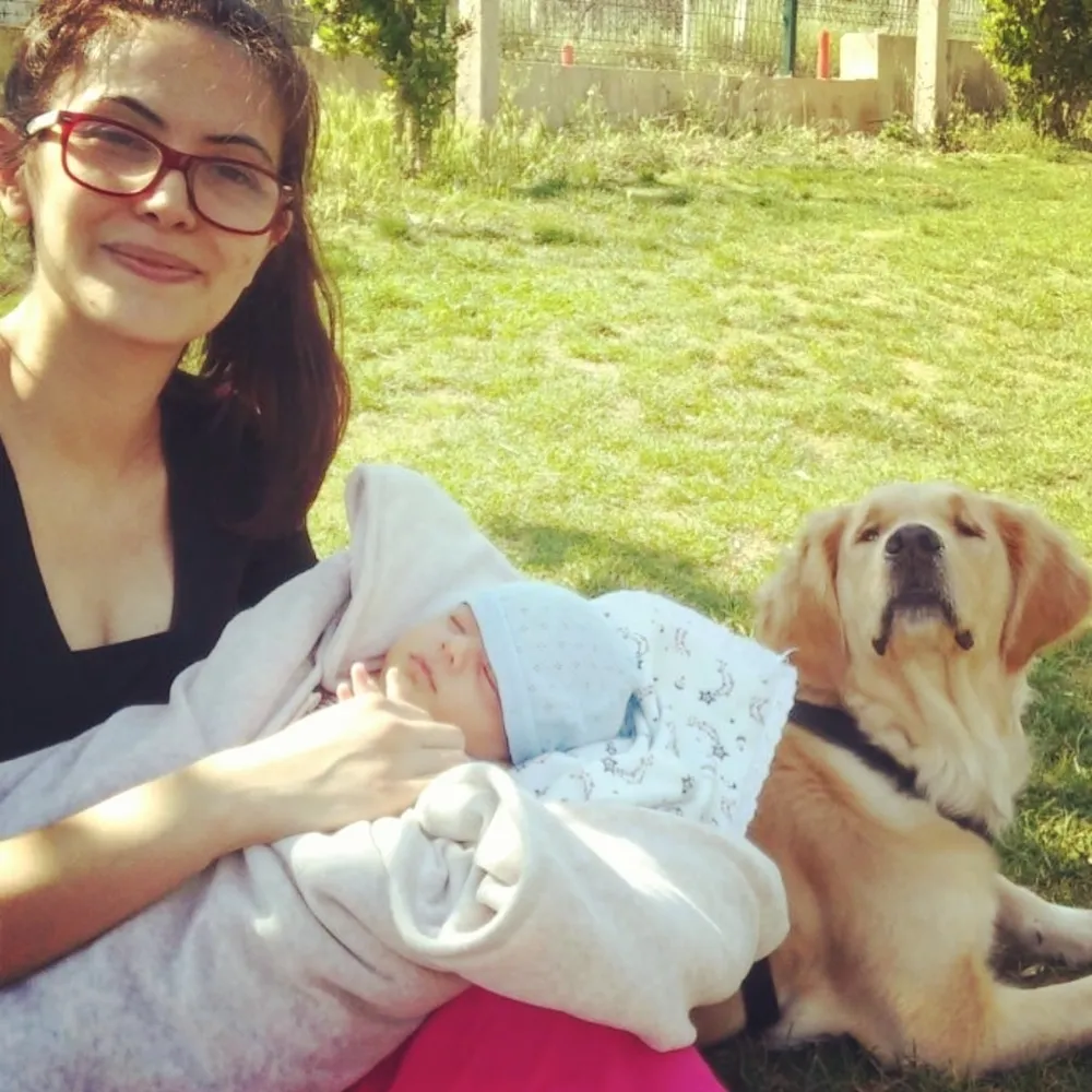 Mutlu Son; Zafer Artu Gelmiş, Hoş Gelmiş…